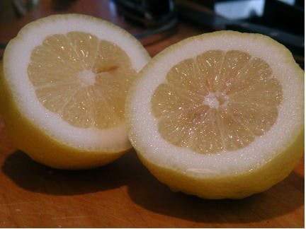 Tuna Melt Quesadilla. Photo courtesy of Starkist.com. 