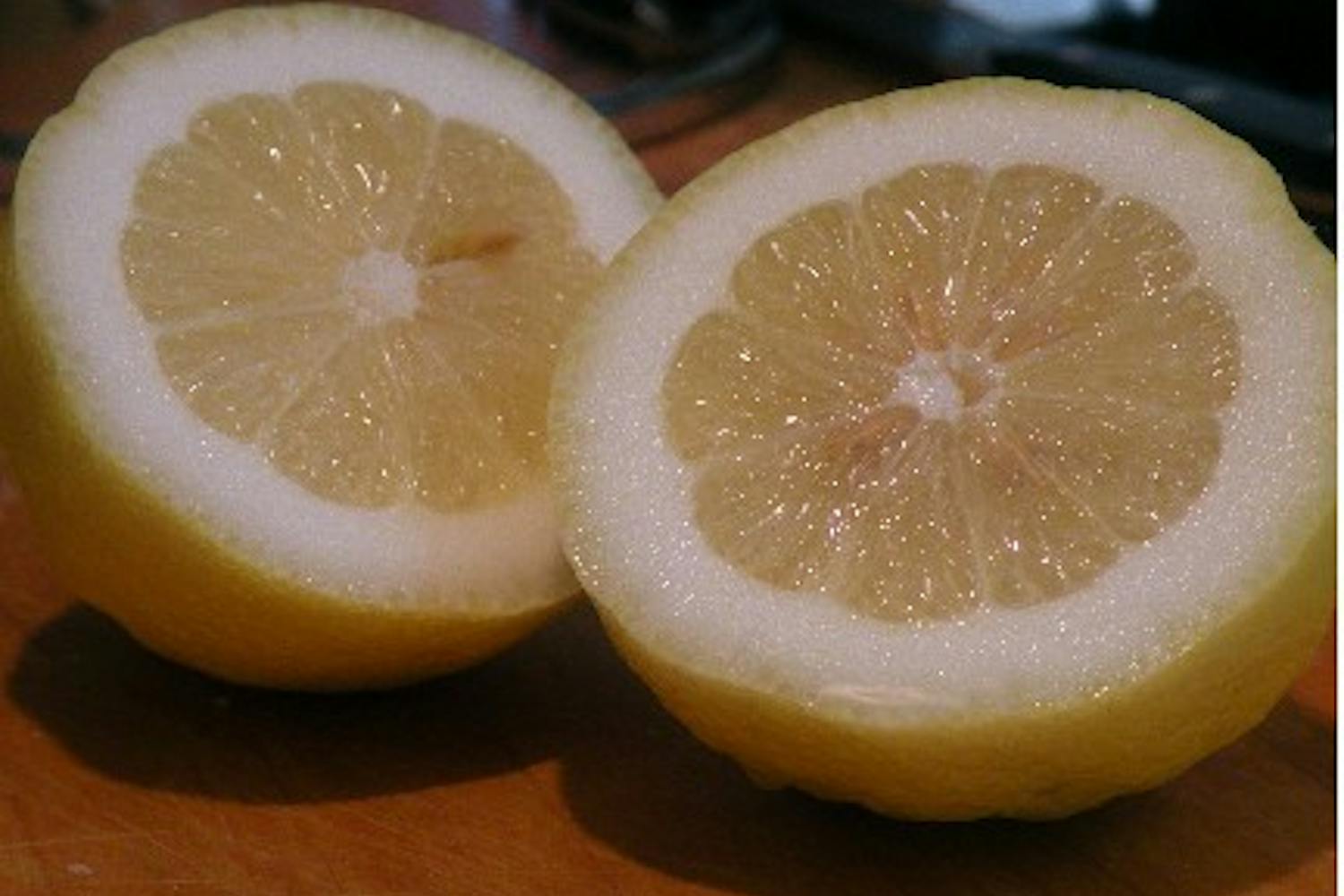 Tuna Melt Quesadilla. Photo courtesy of Starkist.com.