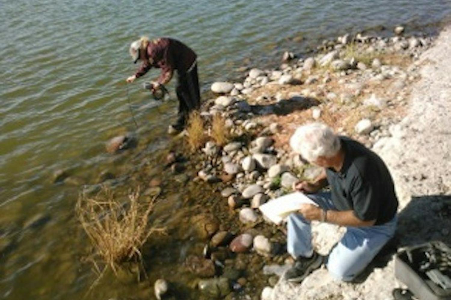 Jenohn Wrieden (back) and Rick Amalfi testing the “lake above the lake” which receives nuisance flows and seeps over into Tempe Town Lake, causing more problems with the water. Amalfi measures bacteria counts and pH here to see what impact it has on the lake because it goes right into the lake. He says the yellow pigment is created by diatom algae.
Photo by Aaron Rop