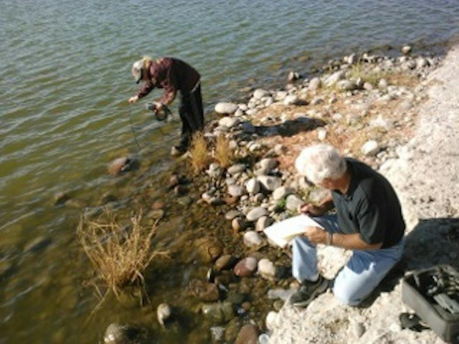 Jenohn Wrieden (back) and Rick Amalfi testing the “lake above the lake” which receives nuisance flows and seeps over into Tempe Town Lake, causing more problems with the water. Amalfi measures bacteria counts and pH here to see what impact it has on the lake because it goes right into the lake. He says the yellow pigment is created by diatom algae.
Photo by Aaron Rop