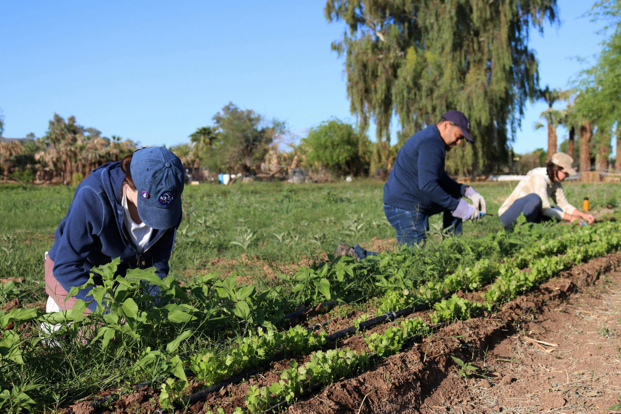 250405 Community Farm Volunteer Day