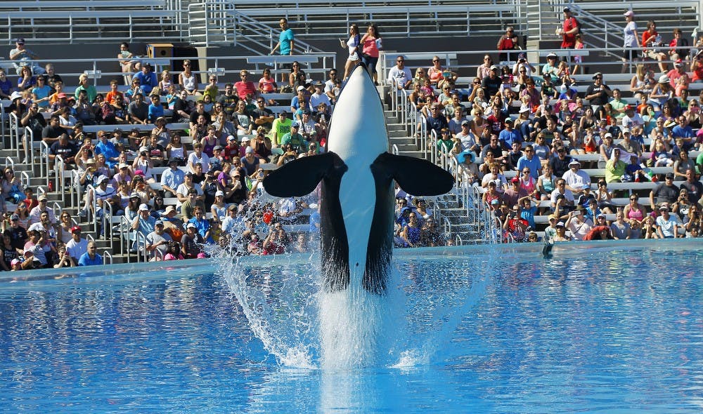 US NEWS SEAWORLD 3 SD