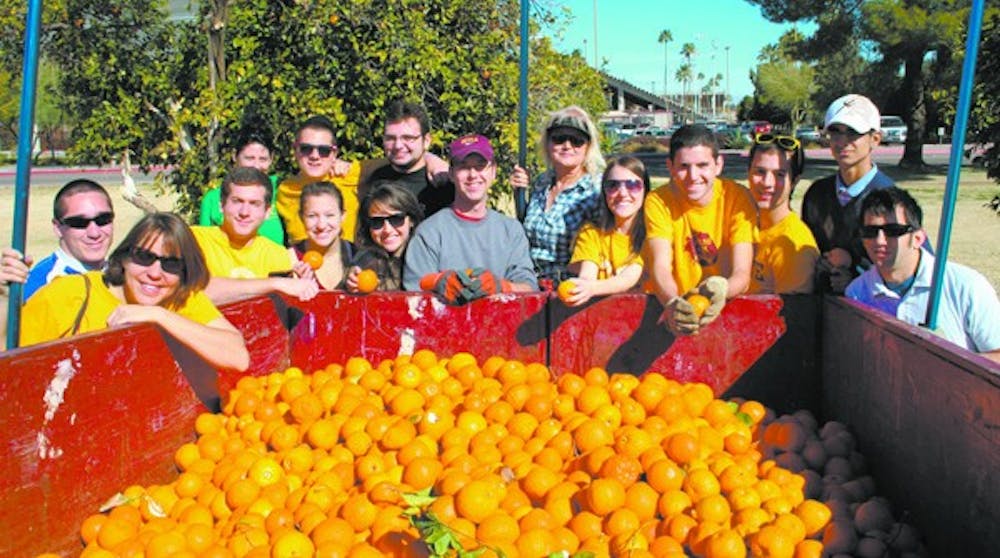 ORANGE HARVEST: Volunteers from fraternity Sigma Alpha Mu and Sun Devils for Israel picked hundreds of oranges on the Tempe campus Sunday.  Most of the oranges will be sold or donated across the Valley while the rest will be composted. (Photo by Lisa Bartoli)