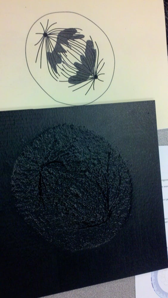 This tactile board made by 3D IMAGINE is used by visually impaired students in a Biology 101 pilot class at ASU.