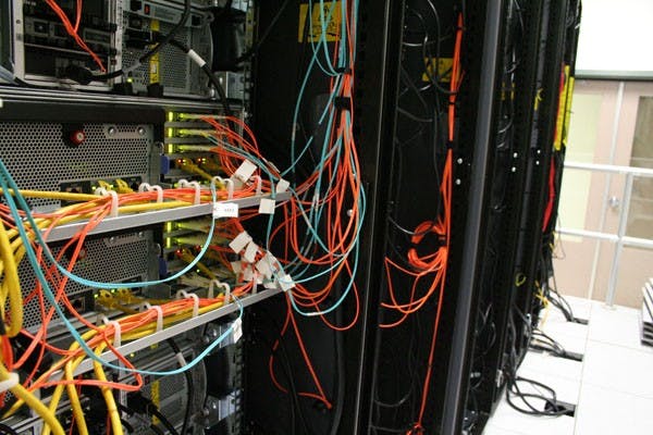 (Photo by Kyle Thompson)