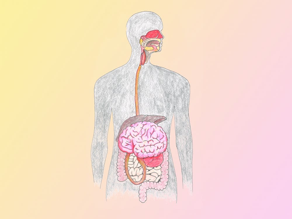 Your brain exists throughout your body. Illustration drawn on Tuesday, Oct. 4, 2016.