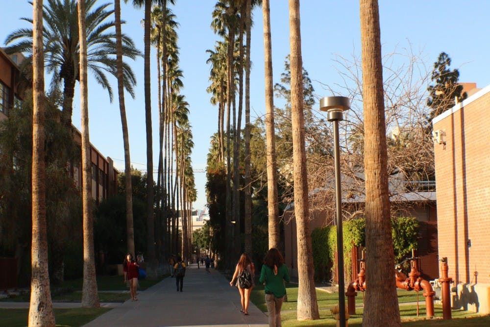 Students walk down ASU Tempe's iconic Palm Walk&nbsp;