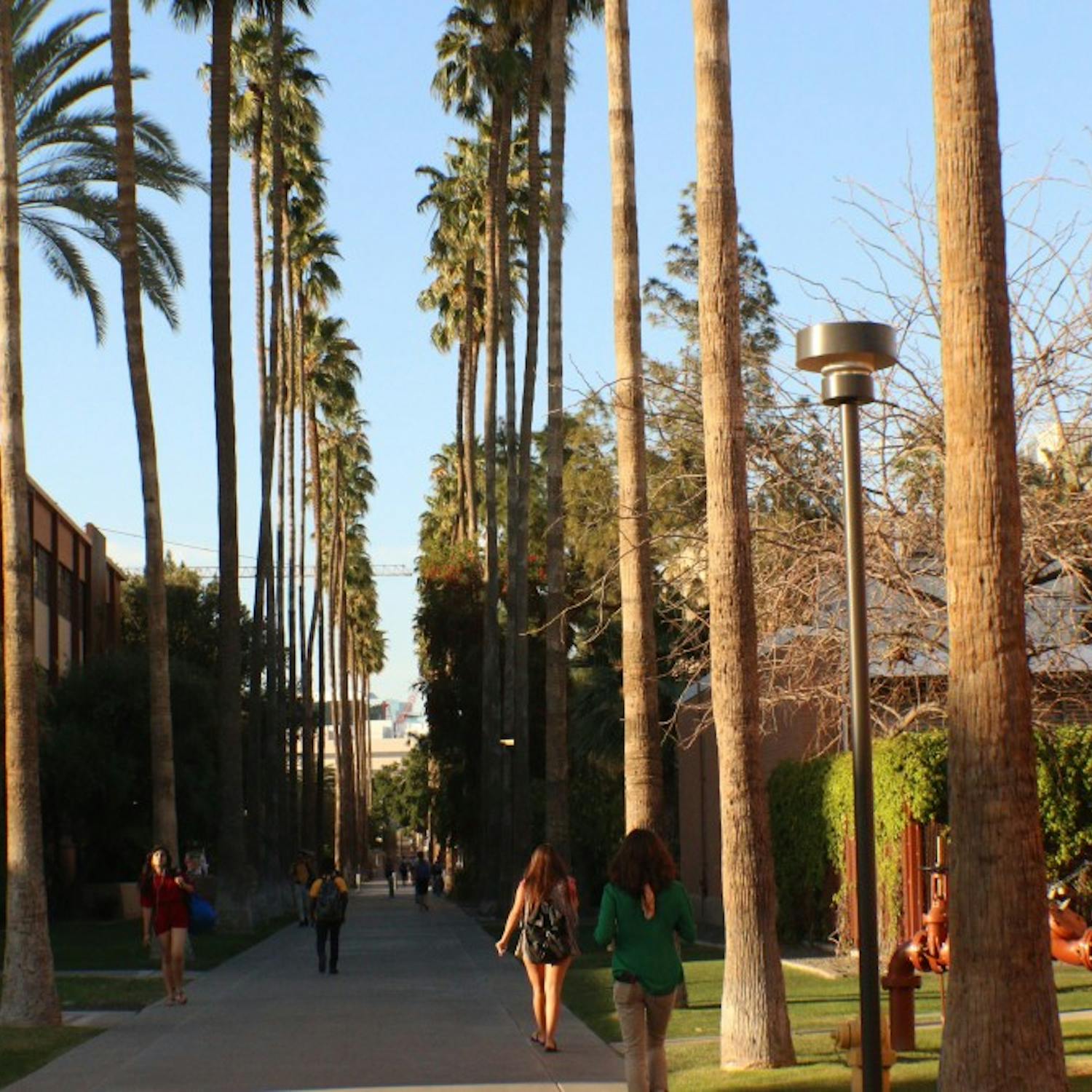 Students walk down ASU Tempe's iconic Palm Walk&nbsp;