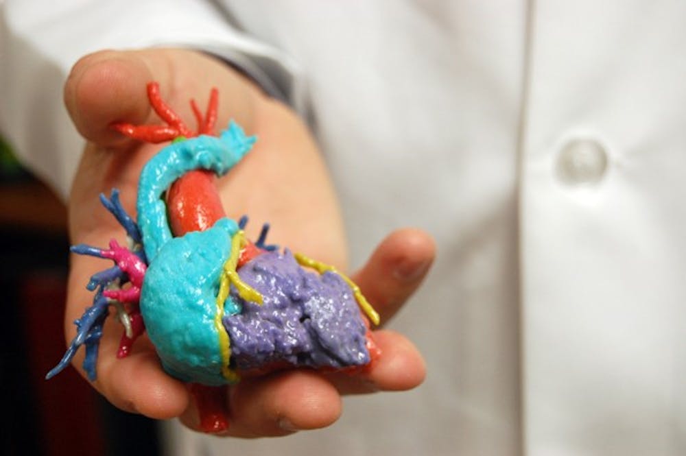 Chairman of radiology at St. Joseph's Children's Hospital Dr. Randy Richardson holds a 3-D model of an infant's heart that was diagnosed with heart abnormalities.  Richardson and ASU professor David Frakes founded the "Heart in Your Hand" project of making replicas of individual patient's hearts. (Photo by Thania A. Betancourt)