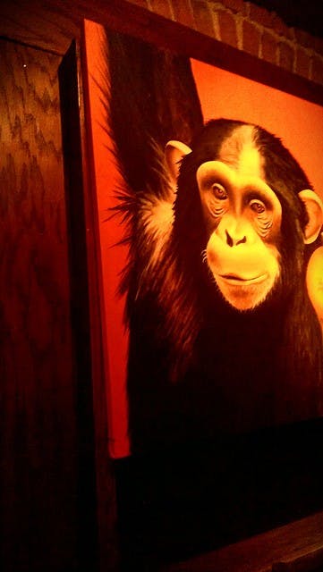 Art hangs inside the Lost Leaf. Photo by the author.