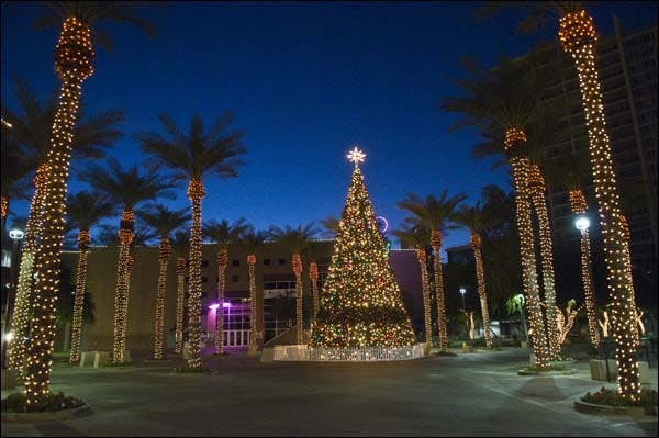 Holiday lights decorate portions of Mill Avenue and a 60-foot Christmas tree stands in Centerpoint Plaza to celebrate the holiday season. (BRANDEN EASTWOOD | THE STATE PRESS)