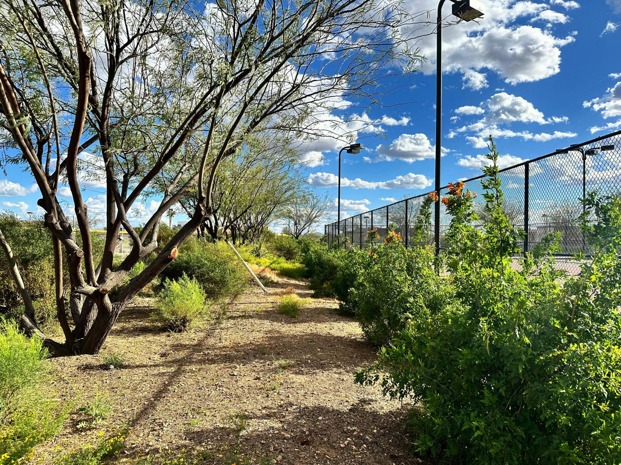 senior reporter-carbon-sequestration-polytechnic