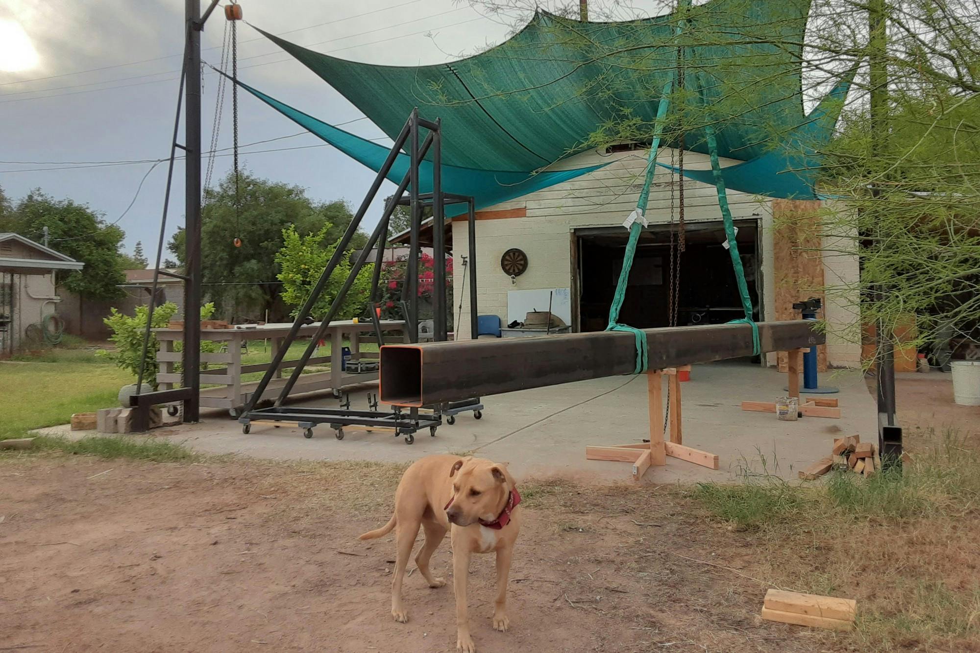 brenna tempe street car.jpg