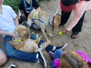 Students gather to pet and play with Canine Companions of Independence dogs at the Puppy Love event&nbsp;at the ASU&nbsp;Downtown campus on February&nbsp;24, 2017.