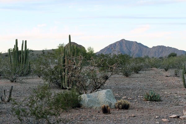 The sun sets Thursday night on Papago Park. Arizona's mountainous areas, located near metropolitan hubs, provide Valley residents with multiple hiking opportunities. (Photo by Lisa Bartoli)