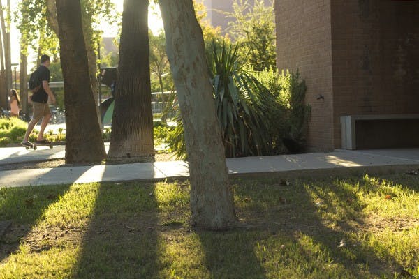 A black cat hides behind a bush by the building. (Photo by Alexis Macklin)