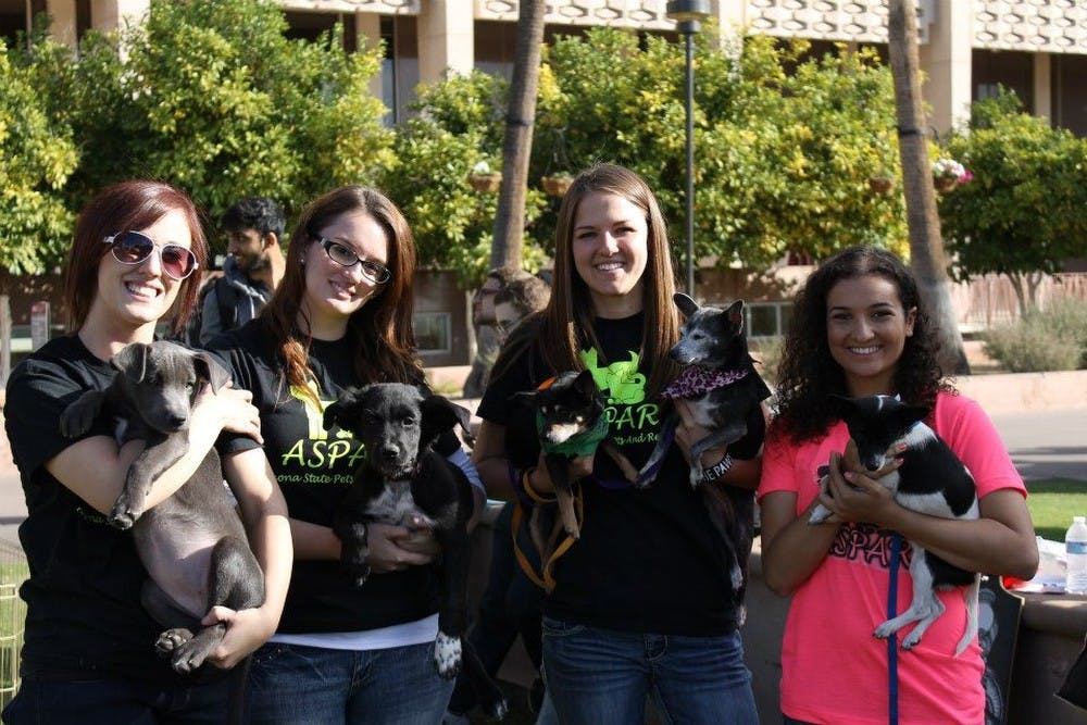 RAWR, a club at ASU, aims to connect students to volunteer opportunities and help find good homes for animals in need. ASU graduates Kyrie Martin, Melody Kauffman, Megan Budday and senior Melissa Jordan pose at the 'Paws your Finals Stress' event near Hayden Library in Tempe in 2012.