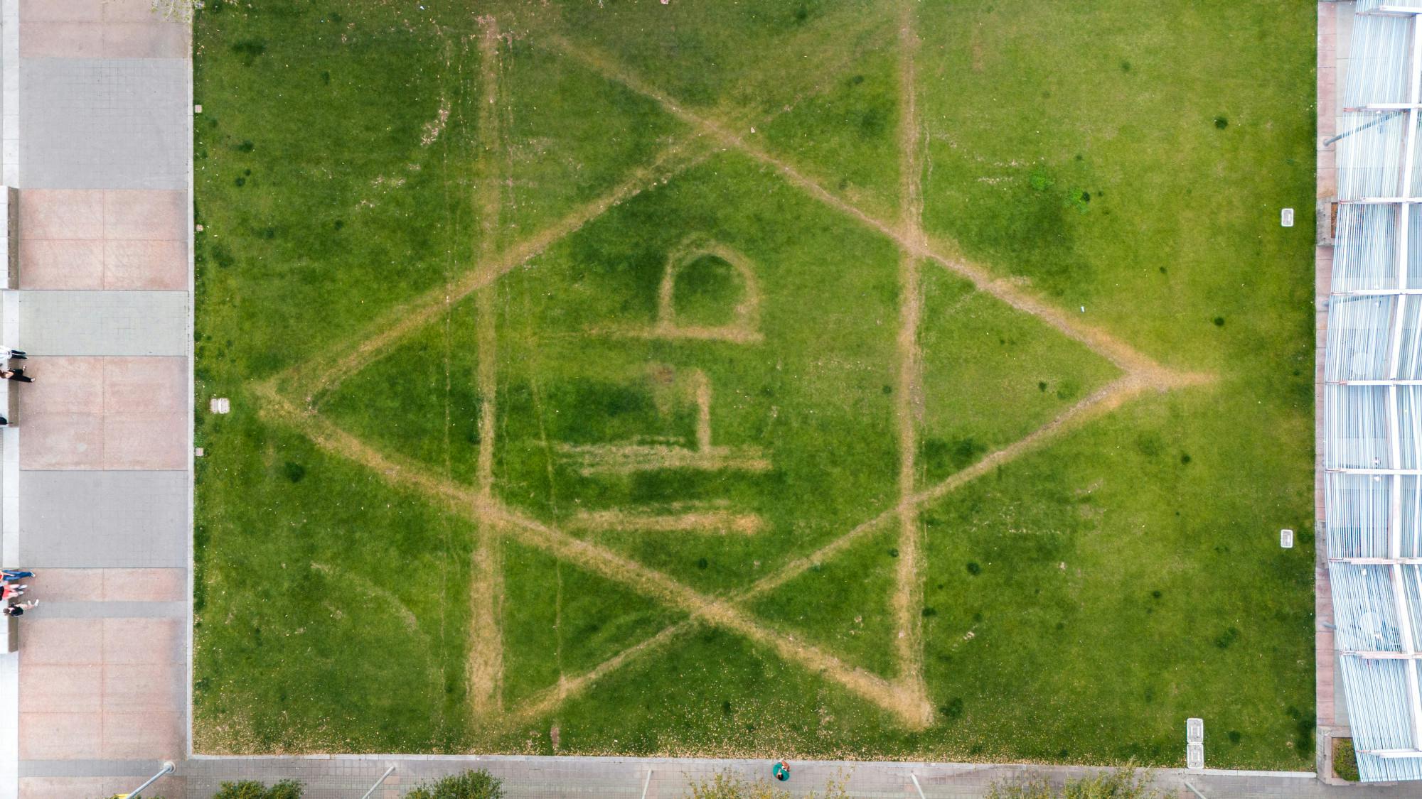 Politics-grass-killed-star-david