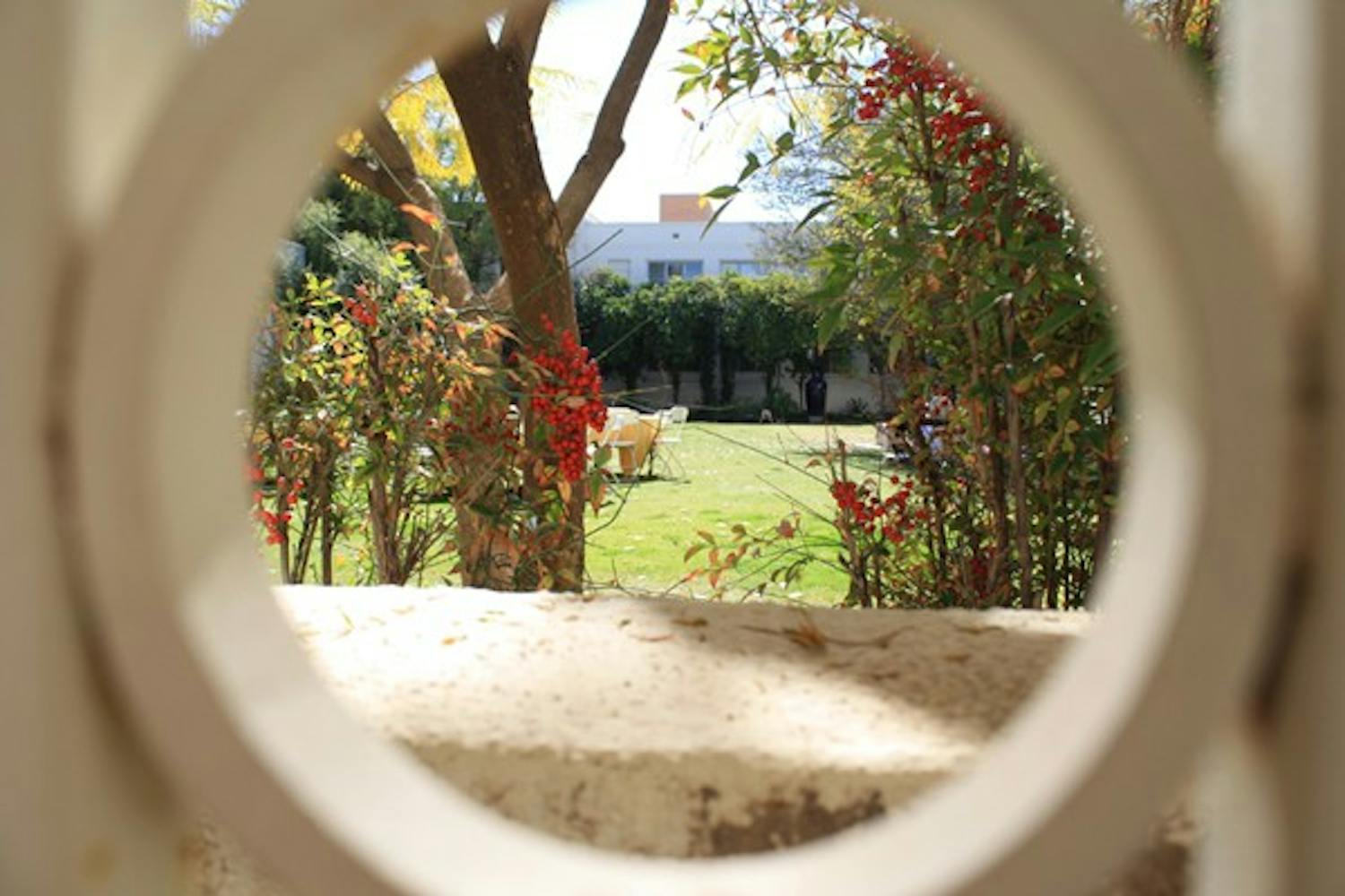 The Secret Garden, a hidden treasure on the Tempe campus, is seen through a peephole on Thursday afternoon. (Photo by Jessie Wardarski)