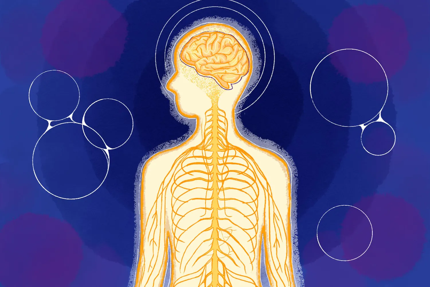 SciTech-psychology-autism-lab.jpg
