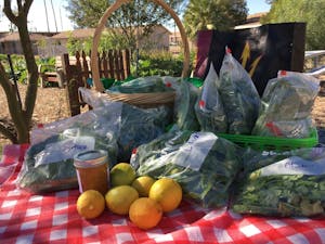 Food grown from the Polytechnic garden, another way ASU practices sustainability on its campuses.&nbsp;