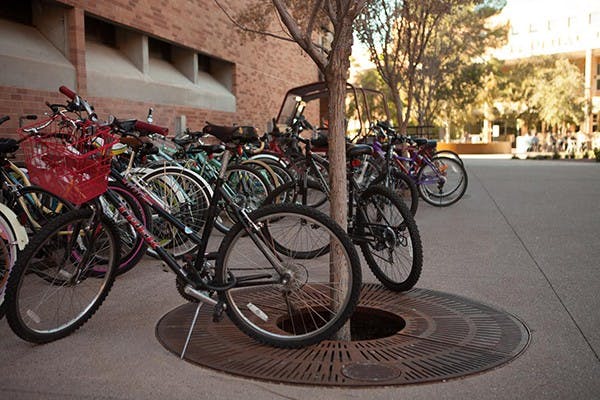 Bikes along the W.P. Carey building are locked onto itself or each other due to the insufficiency of bike racks in ASU. ASU was recently named one of the most bike-friendly campuses across the nation. However, Very often students can't find a bike rack and have to lock their bikes to the trees and fences. (Photo by Ryan Liu)