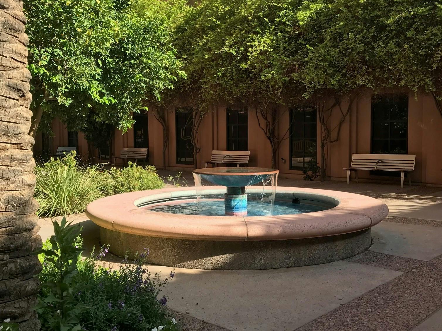 Anne-Marie Shaver August 24, 2018 4.13pmlandscape.jpg