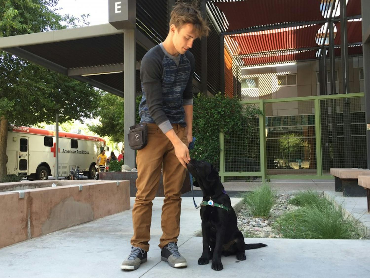 Patrick McCarthy works with service dog Gonzo.