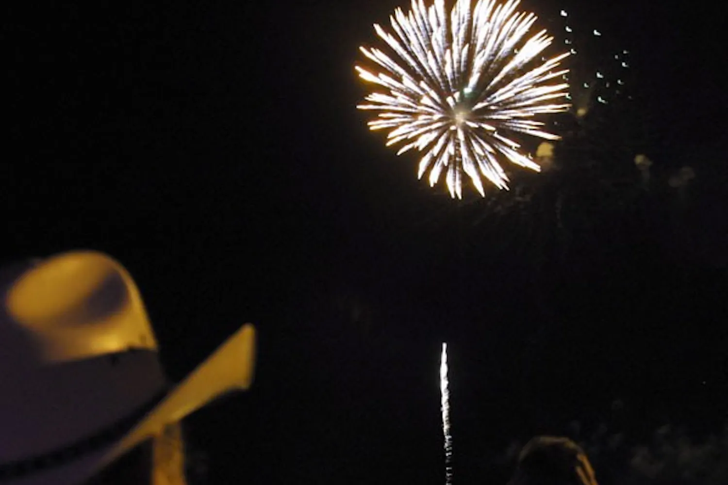 SERWAA ADU-TUTU | THE STATE PRESS
LIGHT SHOW: An explosion of fireworks lights up the night sky during the Independence Day celebration at Tempe Beach Park Sunday night.