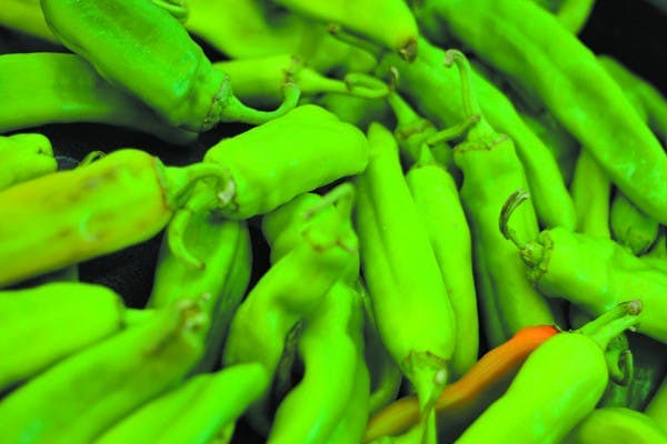 PRICE DROP: A professor at ASU is predicting a drop in organic food prices around the state. (Photo by Andy Jefferys)