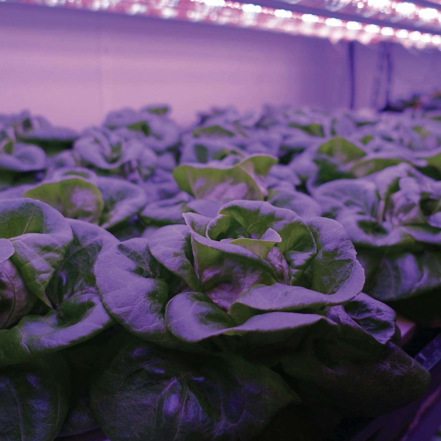 automation headers-02.jpg