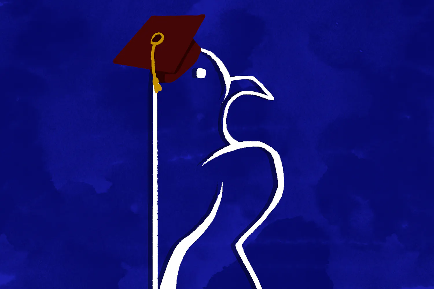 Untitled_Artwork (1).png