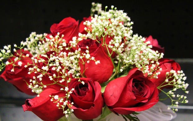 Photo by Jessica Heigh.