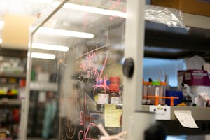 Hernandez-260205-iGem-Research-Profile1 (1).jpg