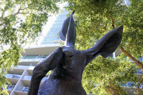TEMPE WONDERLAND: Giant rabbit statues sit outside the West Sixth apartments in the "Rabbit Garden". (Photo by Samuel Rosenbaum)