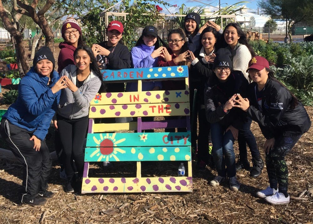 Members of Delta Chi Lambda perform service at St. Vincent de Paul's vegetable garden on Saturday, January 21, 2017 in Downtown Phoenix, Arizona.