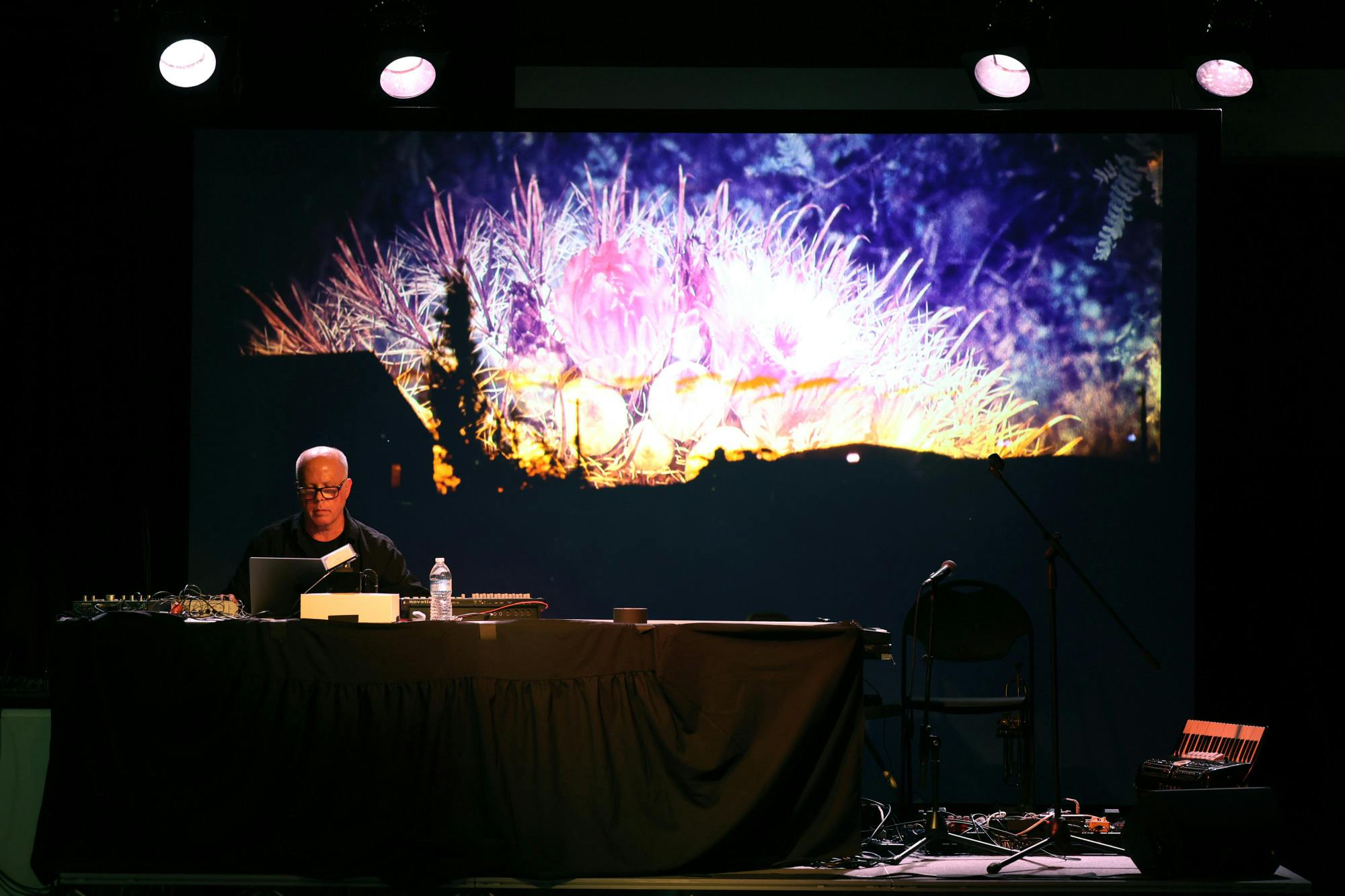 Gallery: Super Bloom