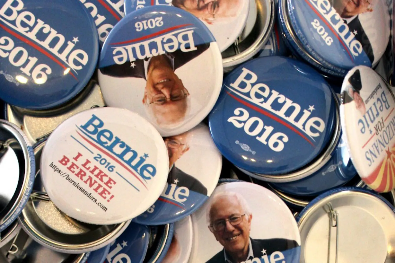 students for sanders illustration