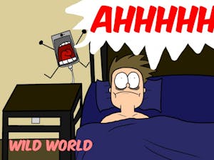 Wild World Vol 6..jpeg