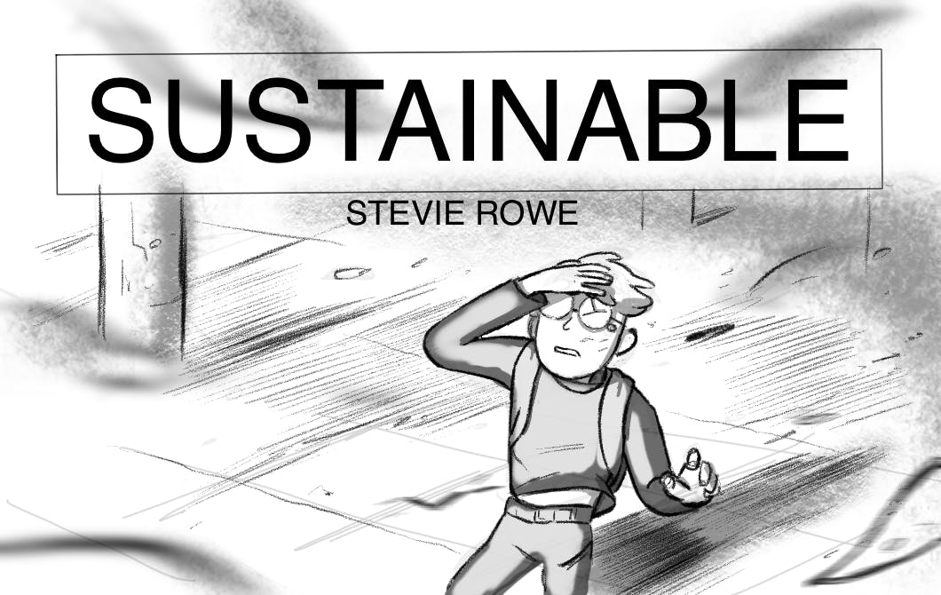 Stevie_sustainable_header.png