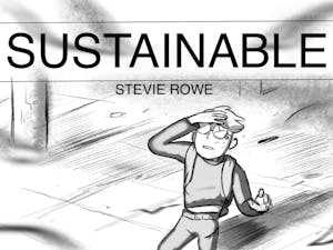 Stevie_sustainable_header.png