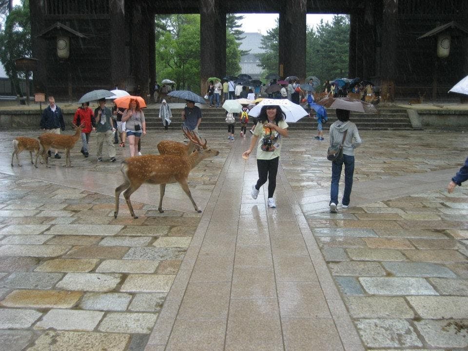 Clearly deer don't like me.