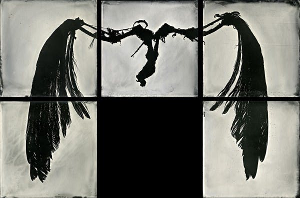 Courtesy of Gayle Stevens