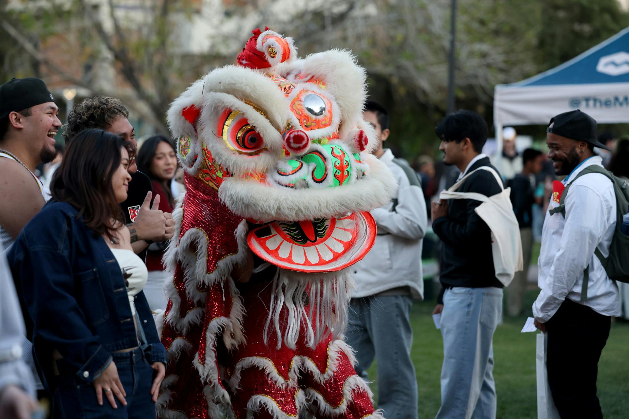 Peters-260217-Lunar-New-Year