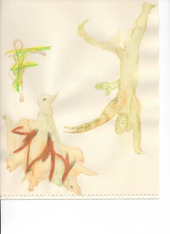 Barbara Colby's Watercolor Artwork