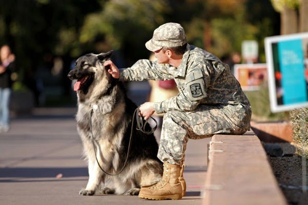 Stanton Sims and his dog Micah hang out by Hayden Lawn while gathering donations for Phoenix Children's Hospital on Dec. 5, 2011. (Photo by Sam Rosenbaum)