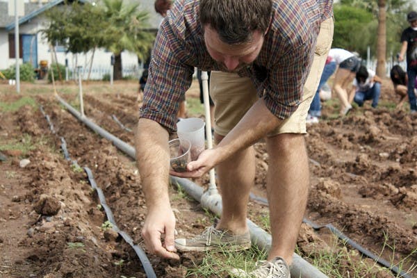 SUNFLOWER FIELDS: Kenny Barrett and students from the Phoenix Union Bioscience High School planted a plethora of sunflower seeds at the vacant lot in downtown Phoenix for the Valley of the Sunflowers organization on Tuesday. (Photo by Shawn Raymundo)