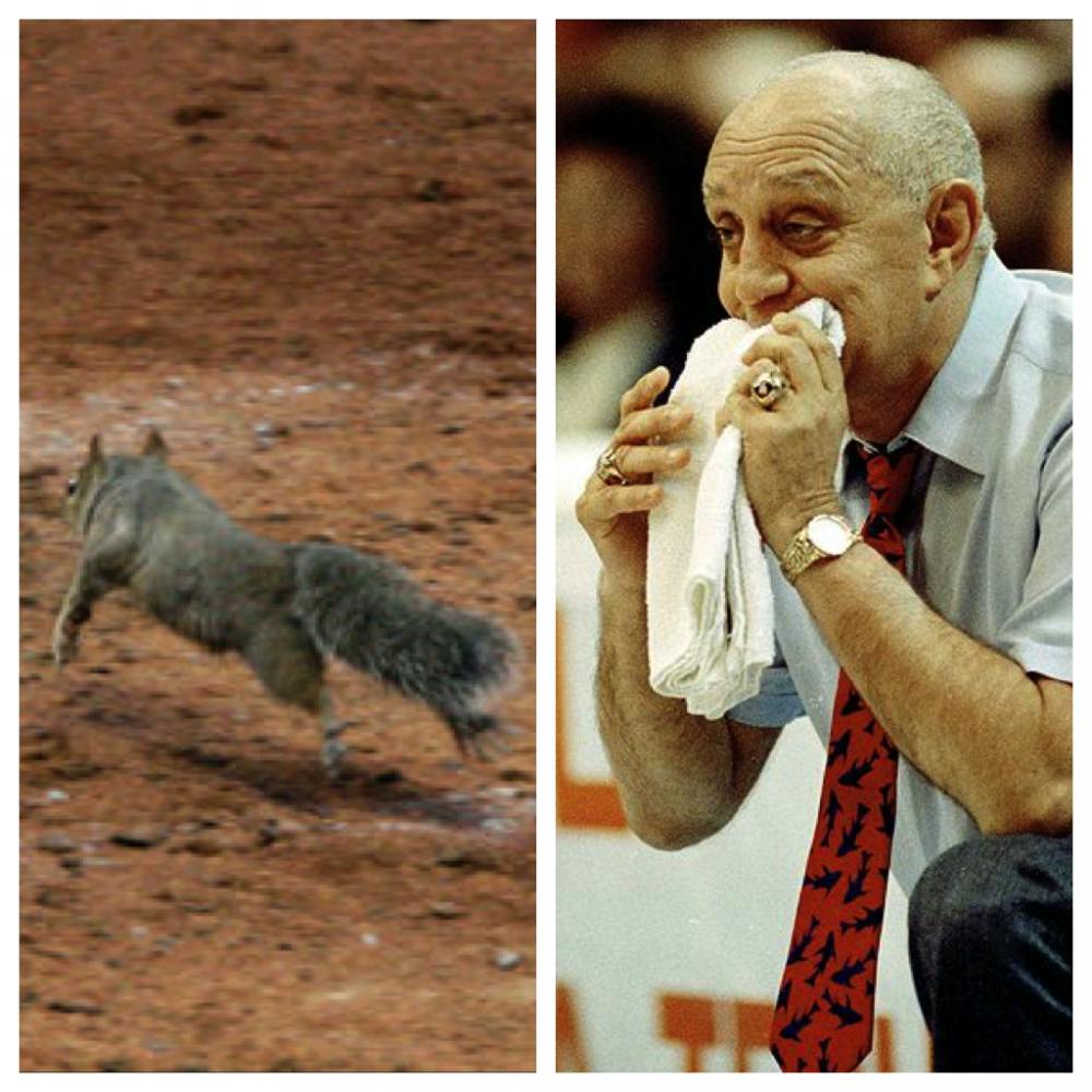 From rally squirrels to towel chewing, sports fans, coaches, and players have always been very superstitious. Photos courtesy of ESPN and The New York Times