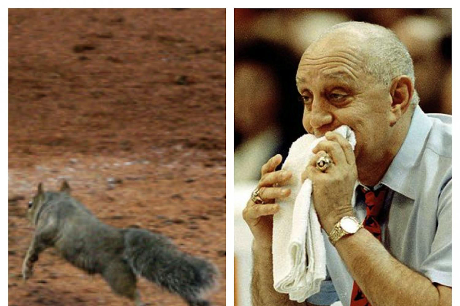 From rally squirrels to towel chewing, sports fans, coaches, and players have always been very superstitious. Photos courtesy of ESPN and The New York Times
