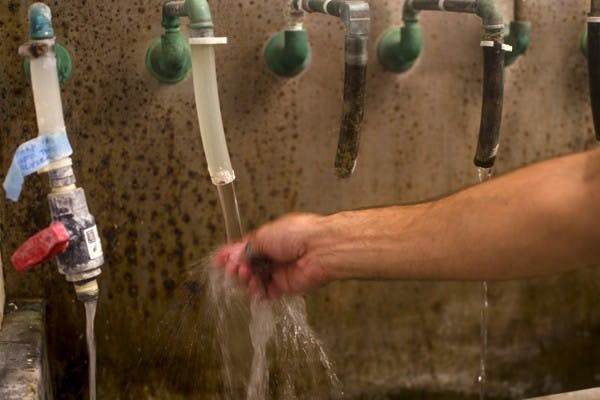Drinkable water, ready to be tested for harmful substances, spews from a hose in the operator's lab at the Johnny G. Martinez plant in Tempe - one of the two plants that supply Tempe with safe tap water. 08/28/14. Thursday afternoon. Photo taken by Ethan Fichtner.